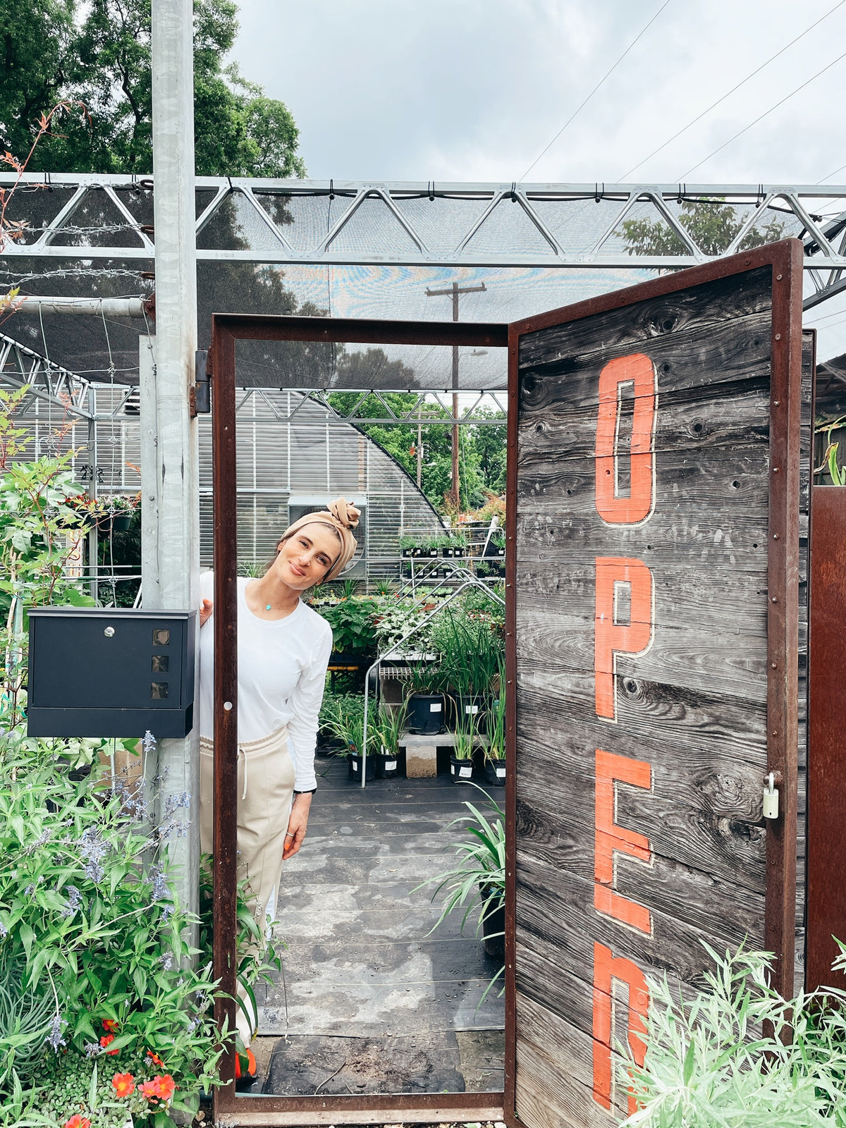 Houseplants and Self-care