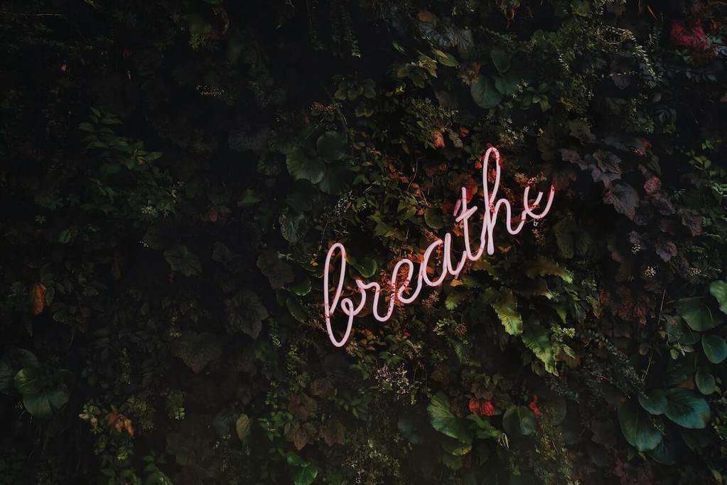 Stress &amp; Sleep: A Complex Cycle