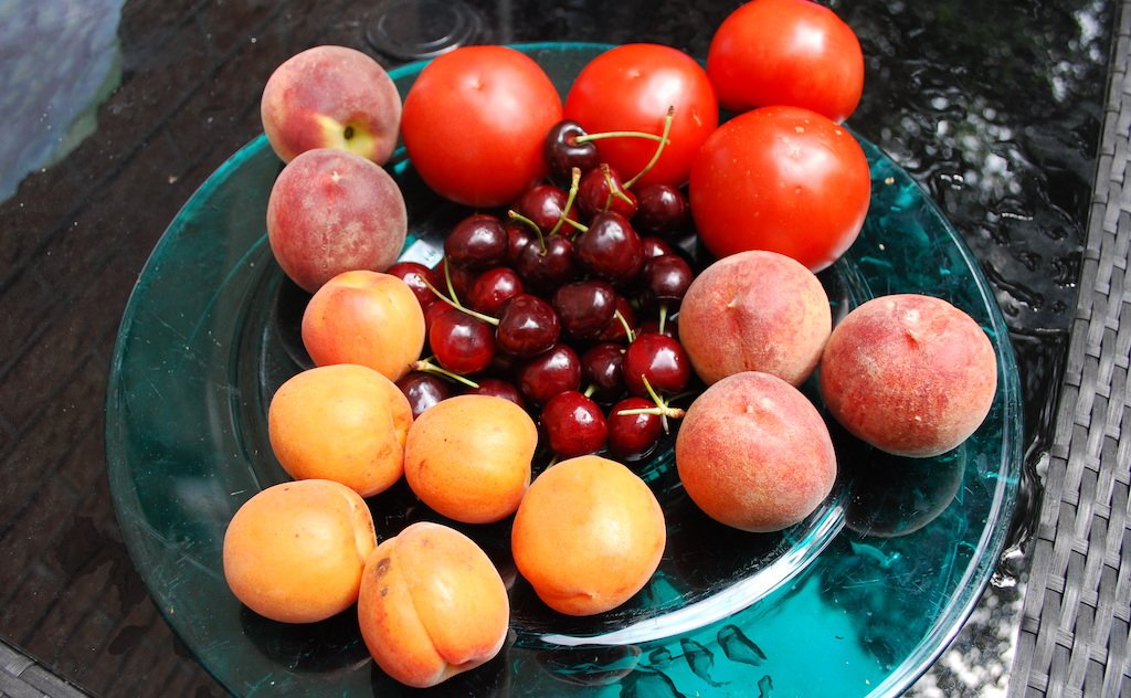 DIY Ingredients for Hair Growth