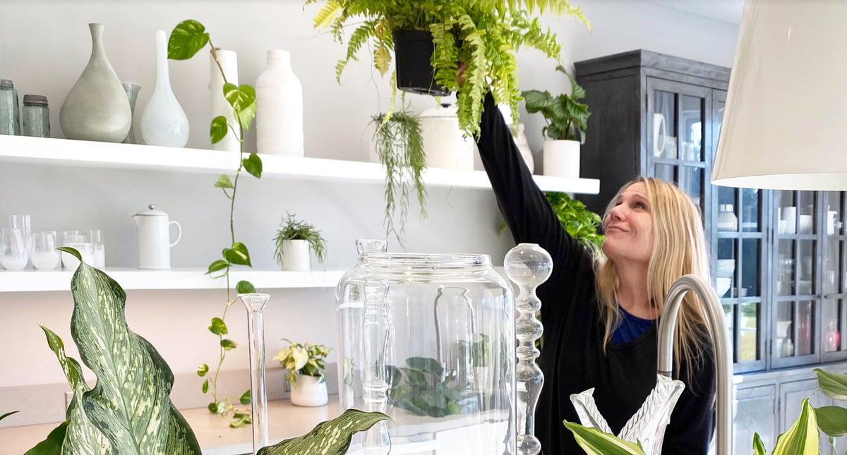 Self Care at Home with Indoor Plants...Let's plantercise!